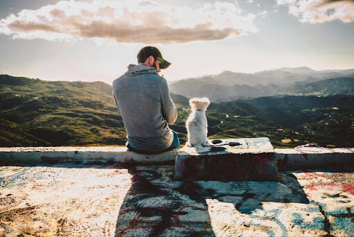 10 Creative Ways to Pamper Your Pet And Show Them Love